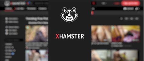 x hamester|Free Adult Porn Videos 